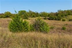 property photo for Canyon Creek Tract 10, 8.65 acres for sale in Lincoln County, Oklahoma