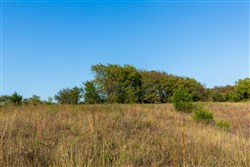 property photo for Canyon Creek Tract 10, 8.65 acres for sale in Lincoln County, Oklahoma