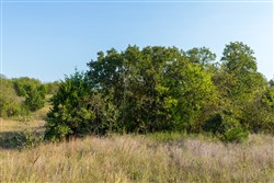 property photo for Canyon Creek Tract 10, 8.65 acres for sale in Lincoln County, Oklahoma