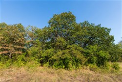 property photo for Canyon Creek Tract 11, 5.98 acres for sale in Lincoln County, Oklahoma