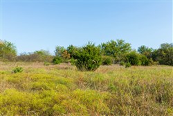 property photo for Canyon Creek Tract 11, 5.98 acres for sale in Lincoln County, Oklahoma