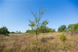 Canyon Creek Tract 12