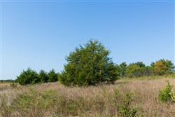 Canyon Creek Tract 12