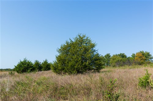 Canyon Creek Tract 12