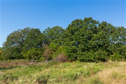 Canyon Creek Tract 12