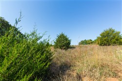 Canyon Creek Tract 12