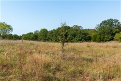 property photo for Canyon Creek Tract 13, 4.82 acres for sale in Lincoln County, Oklahoma