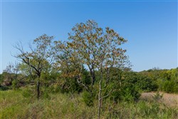 property photo for Canyon Creek Tract 14, 7.87 acres for sale in Lincoln County, Oklahoma