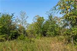 property photo for Canyon Creek Tract 14, 7.87 acres for sale in Lincoln County, Oklahoma