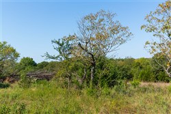 property photo for Canyon Creek Tract 14, 7.87 acres for sale in Lincoln County, Oklahoma