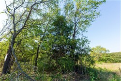 property photo for Canyon Creek Tract 14, 7.87 acres for sale in Lincoln County, Oklahoma