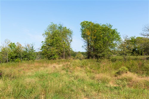 Canyon Creek Tract 15