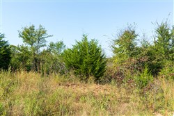 Canyon Creek Tract 15