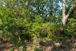 Canyon Creek Tract 15