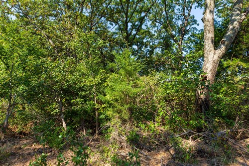 Canyon Creek Tract 15