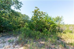 Canyon Creek Tract 15