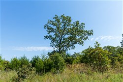 property photo for Canyon Creek Tract 16, 7.34 acres for sale in Lincoln County, Oklahoma