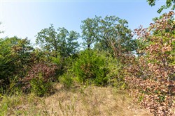property photo for Canyon Creek Tract 16, 7.34 acres for sale in Lincoln County, Oklahoma