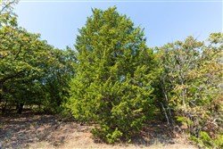 Canyon Creek Tract 17