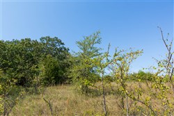 Canyon Creek Tract 17