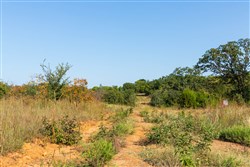 property photo for Canyon Creek Tract 18, 7.44 acres for sale in Lincoln County, Oklahoma