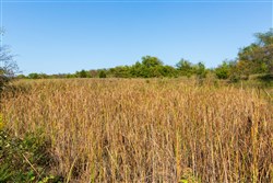 property photo for Canyon Creek Tract 18, 7.44 acres for sale in Lincoln County, Oklahoma