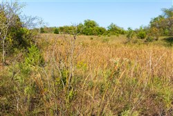 property photo for Canyon Creek Tract 18, 7.44 acres for sale in Lincoln County, Oklahoma