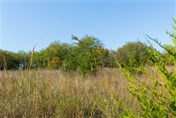 property photo for Canyon Creek Tract 18, 7.44 acres for sale in Lincoln County, Oklahoma