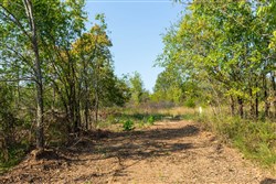 property photo for Canyon Creek Tract 19, 5.04 acres for sale in Lincoln County, Oklahoma
