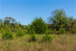 property photo for Canyon Creek Tract 19, 5.04 acres for sale in Lincoln County, Oklahoma