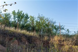 property photo for Canyon Creek Tract 2, 4.87 acres for sale in Lincoln County, Oklahoma