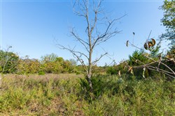 property photo for Canyon Creek Tract 20, 4.98 acres for sale in Lincoln County, Oklahoma