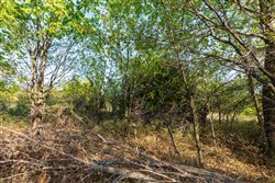 property photo for Canyon Creek Tract 20, 4.98 acres for sale in Lincoln County, Oklahoma