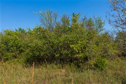 property photo for Canyon Creek Tract 20, 4.98 acres for sale in Lincoln County, Oklahoma