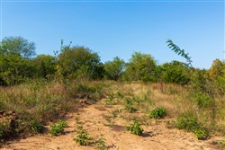 property photo for Canyon Creek Tract 21, 4.89 acres for sale in Lincoln County, Oklahoma
