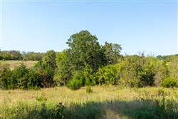 property photo for Canyon Creek Tract 21, 4.89 acres for sale in Lincoln County, Oklahoma