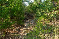 property photo for Canyon Creek Tract 21, 4.89 acres for sale in Lincoln County, Oklahoma