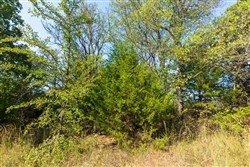 property photo for Canyon Creek Tract 21, 4.89 acres for sale in Lincoln County, Oklahoma