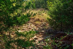 property photo for Canyon Creek Tract 22, 4.98 acres for sale in Lincoln County, Oklahoma