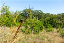 property photo for Canyon Creek Tract 22, 4.98 acres for sale in Lincoln County, Oklahoma