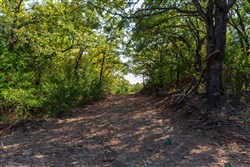 Canyon Creek Tract 23