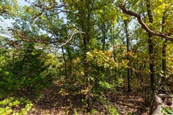 Canyon Creek Tract 23