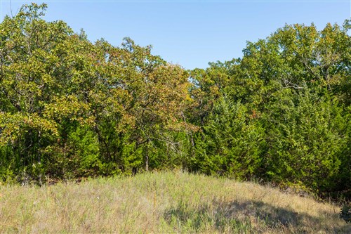 Canyon Creek Tract 23