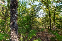 Canyon Creek Tract 23