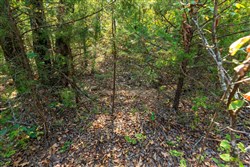 Canyon Creek Tract 23