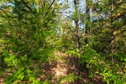 Canyon Creek Tract 23