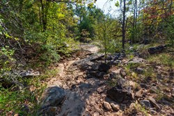 property photo for Canyon Creek Tract 24, 4.93 acres for sale in Lincoln County, Oklahoma