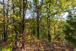 property photo for Canyon Creek Tract 24, 4.93 acres for sale in Lincoln County, Oklahoma