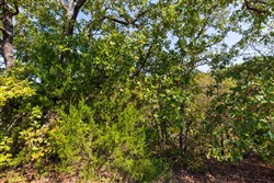 property photo for Canyon Creek Tract 24, 4.93 acres for sale in Lincoln County, Oklahoma