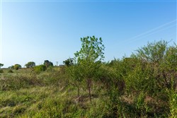 property photo for Canyon Creek Tract 4, 6.16 acres for sale in Lincoln County, Oklahoma